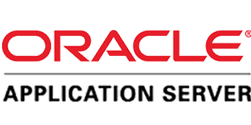 Oracle Application Server 10g